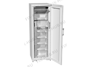Холодильник Gorenje F61308W (181822, ZOS3167C) - Фото